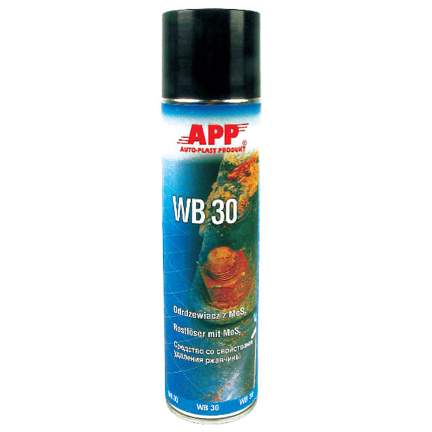 APP WB 30 Spray Penetrating agent with molybdenum disulphide MoS2