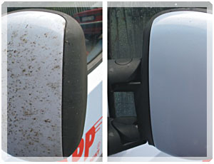 APP INSECT Remover Produit enlève les insectes sur la carrosserie et pare brise de votre voiture